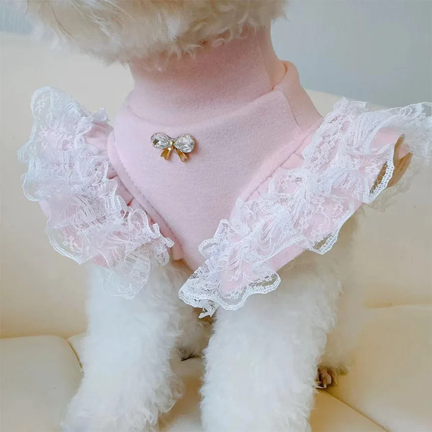 Lace Teddy Lingerie - Evcil hayvan giyim sonbahar ve kış