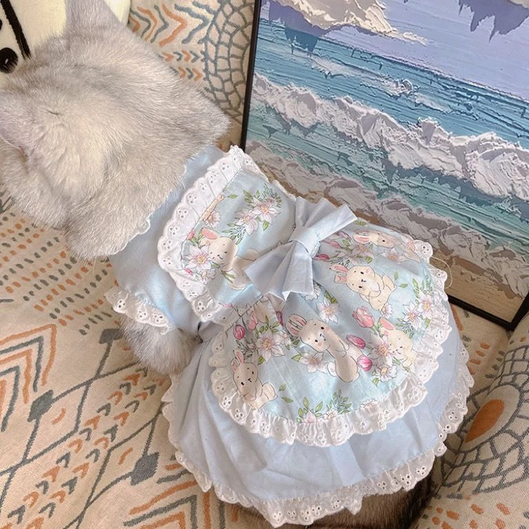 Pet sevimli önlük elbise dante - Lace Teddy Lingerie incelemesi ve fiyatı