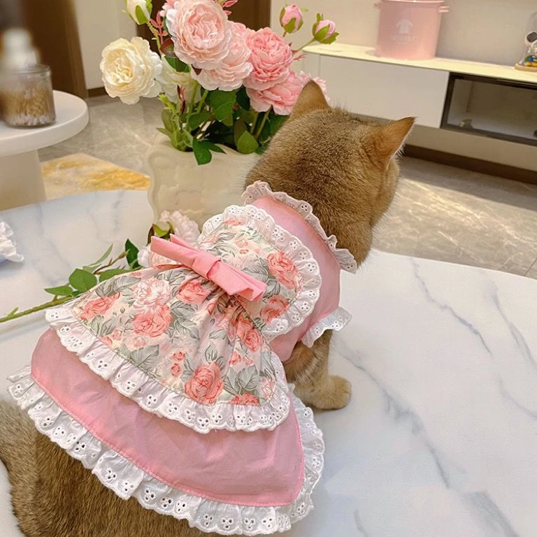 Pet sevimli önlük elbise dante - Lace Teddy Lingerie incelemesi ve fiyatı