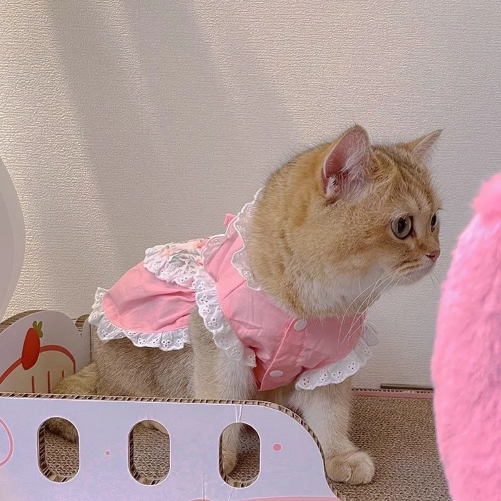 Pet sevimli önlük elbise dante - Lace Teddy Lingerie incelemesi ve fiyatı